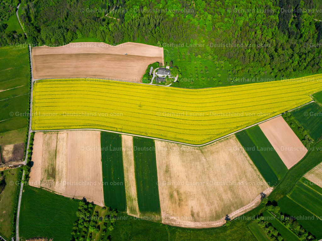 2506465 | Rapsfelder bei Waiblingen