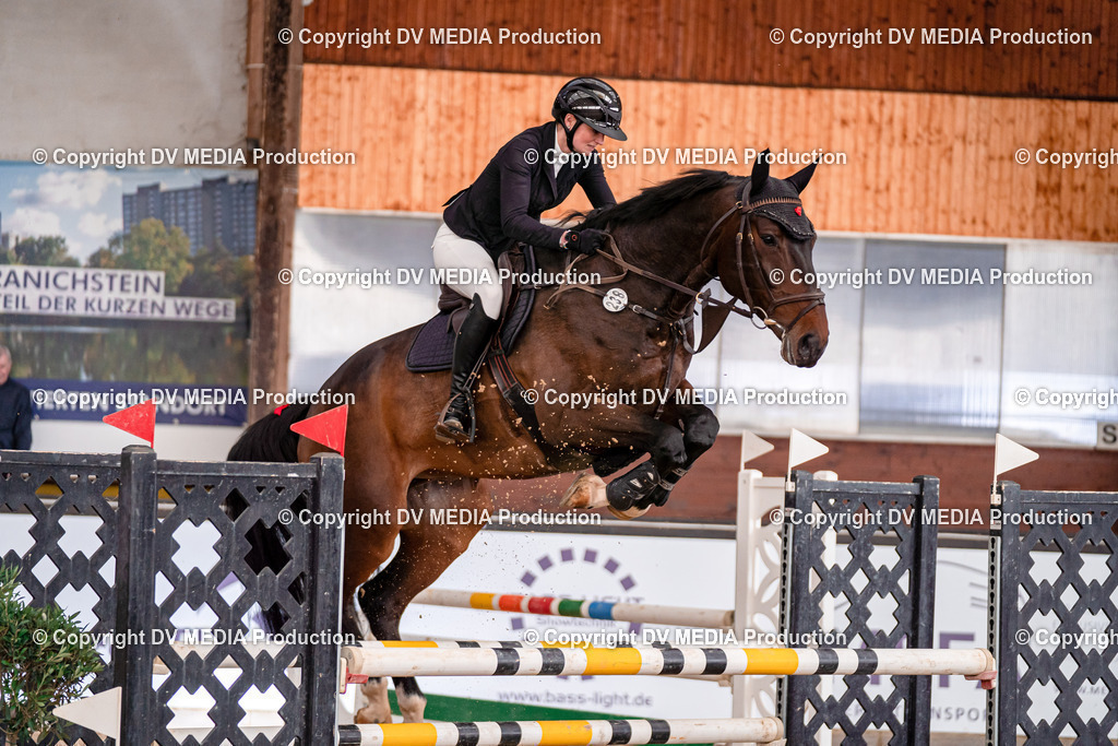 Kranichstein II Tag 3-446 | dv-media-shop - Realisiert mit Pictrs.com