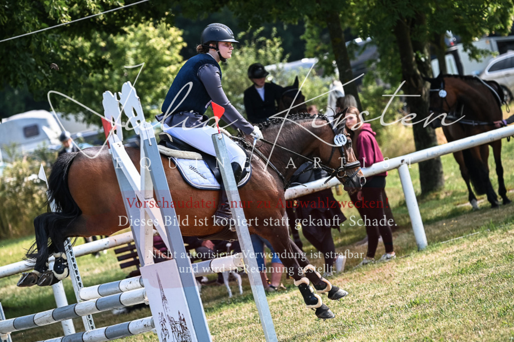 DSC_8001 | Pferde- und Turnierfotografie in Westsachsen. Pferdeportraits, Auftragszeichnungen und intuitive Kunst.