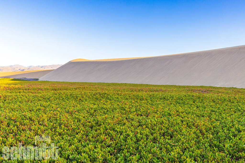 PS-Gran-Canaria-2026-09 | Entdecke die größte Bildgalerie der Region mit Fotografien aus dem Allgäu, der Bodenseeregion, Oberschwaben, dem Donautal und der Schwäbischen Alb. Landschaften, Luftaufnahmen und Reisefotografie als Wandbild und Fotokunst. - Realisiert mit Pictrs.com