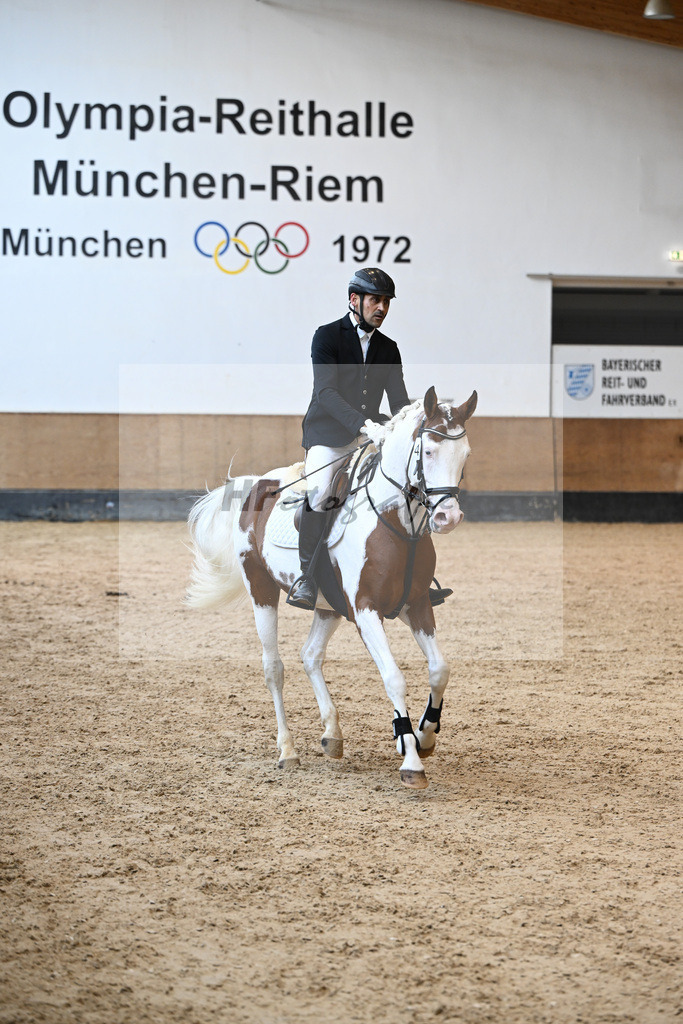 Kat-Nr. 4 Shalimar Coloured Phenom enal_Hoffmann_44240605 | hf-fotografie - Realisiert mit Pictrs.com