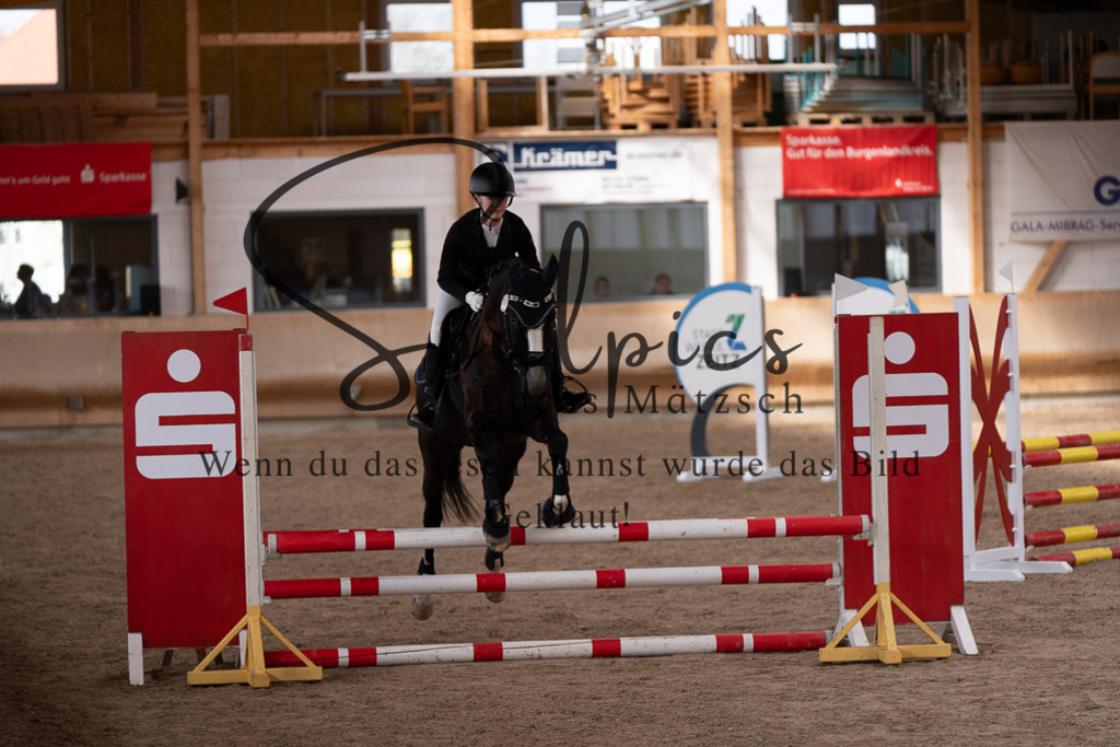 A7507579 | Pferdefotograf