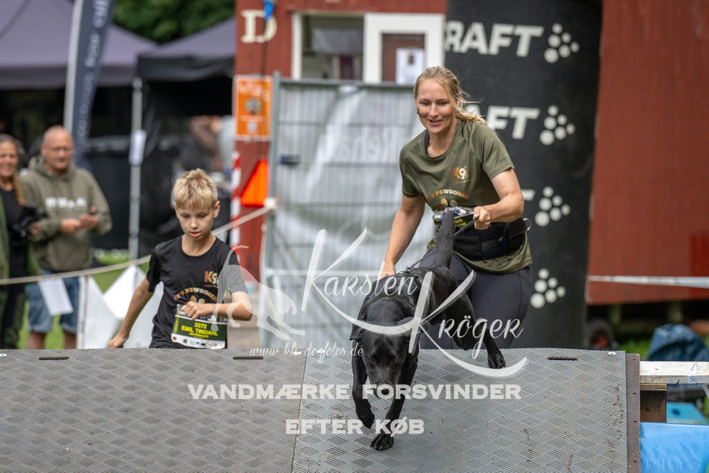 1433_ZZ91383 | kk-dogfotos
