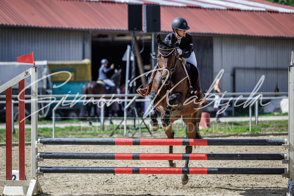20260905-_3LI8760 | Tierfotografie Pferde, Hunde, Katzen, Haustiere.
Turnierfotografie Reitturniere, Reiten, Springreiten, Dressur in Hanau, dem Main-Kinzig-Kreis und dem Rhein-Main- Gebiet um Frankfurt