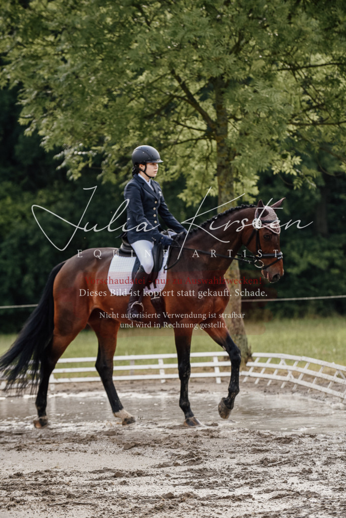 DSC_8563 | Pferde- und Turnierfotografie in Westsachsen. Pferdeportraits, Auftragszeichnungen und intuitive Kunst.