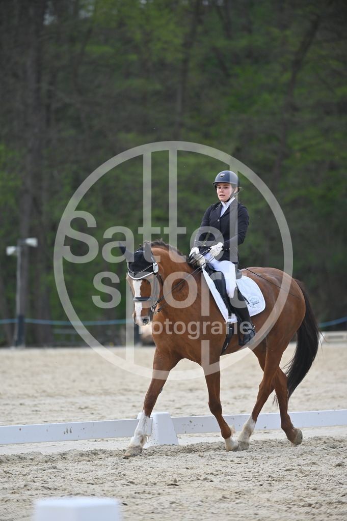 DSC_4832 | sattelsport - Realisiert mit Pictrs.com