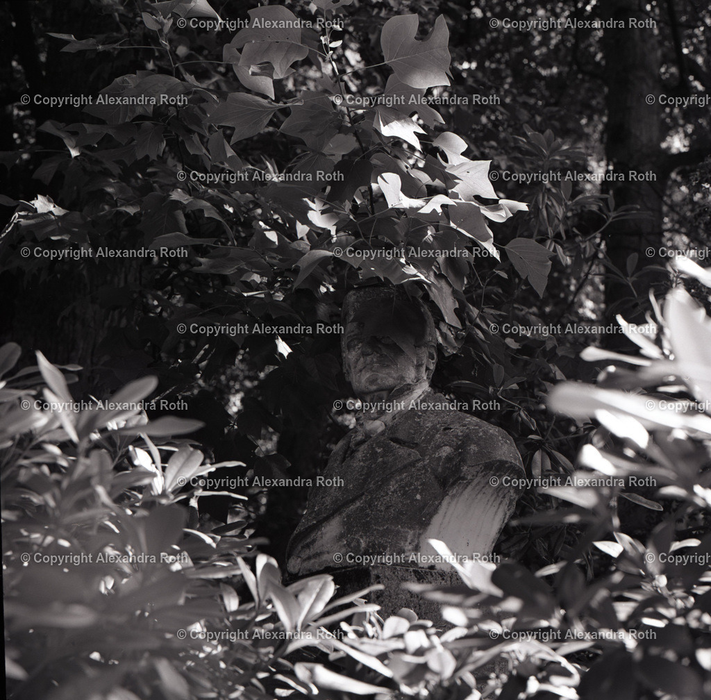 Aarau_0596 | onlineshop - Realisiert mit Pictrs.com