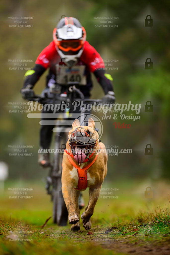 MompixPhotography_Bischwiller2025_Bike-111 | mompixphotography