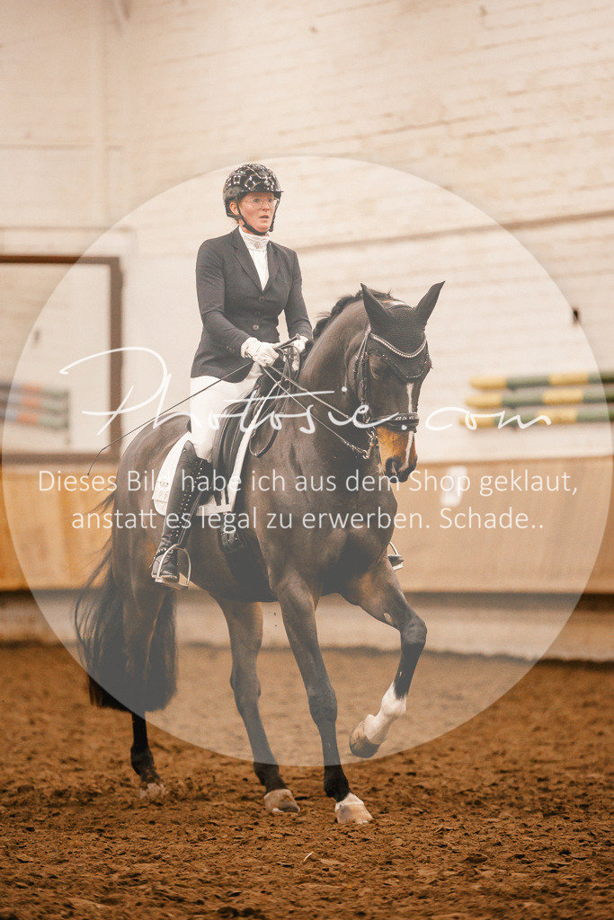 3I6A3043 | Stimmungsvolle Portraits und Reitsportfotografie im Ruhrgebiet und im Münsterland.

Pferdefotografie, Hundefotografie, Tierfotografie, Reportagen, Portraits von Tier und Mensch, Turnierfotografie in Bochum, Recklinghausen, Marl, Haltern am See, Dülmen.. - Realisiert mit Pictrs.com