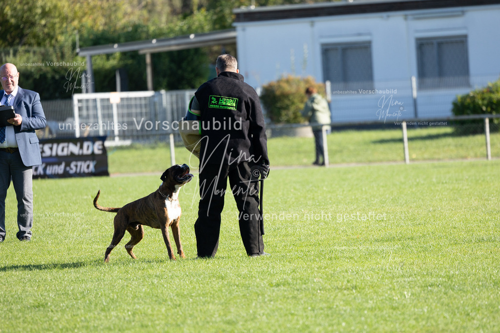 _16A5054 | Einzigartige Fotos von Hunden & Menschen –Actionfotos, Portraits, Vereinsaufnahmen & Paarshootings – authentisch, lebendig & mit Herz.