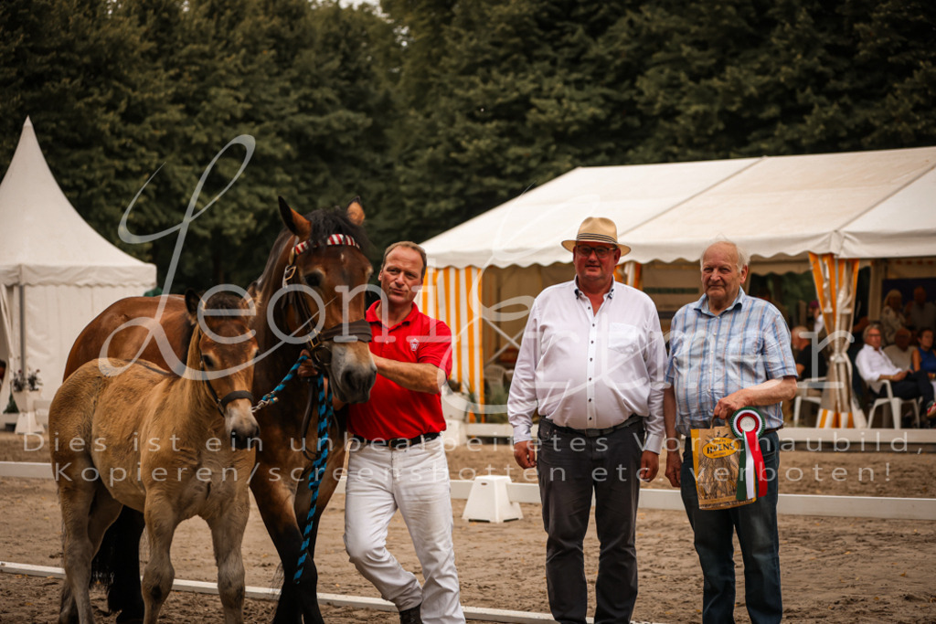 SaHF00136 | Leoni Ertmer Photography - Realisiert mit Pictrs.com