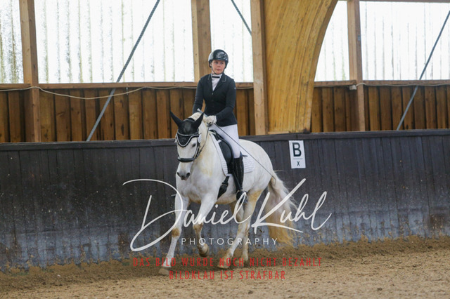 IMG_0522 | Turniersportfotografie; Pferdefotografie; Dressurfotografie