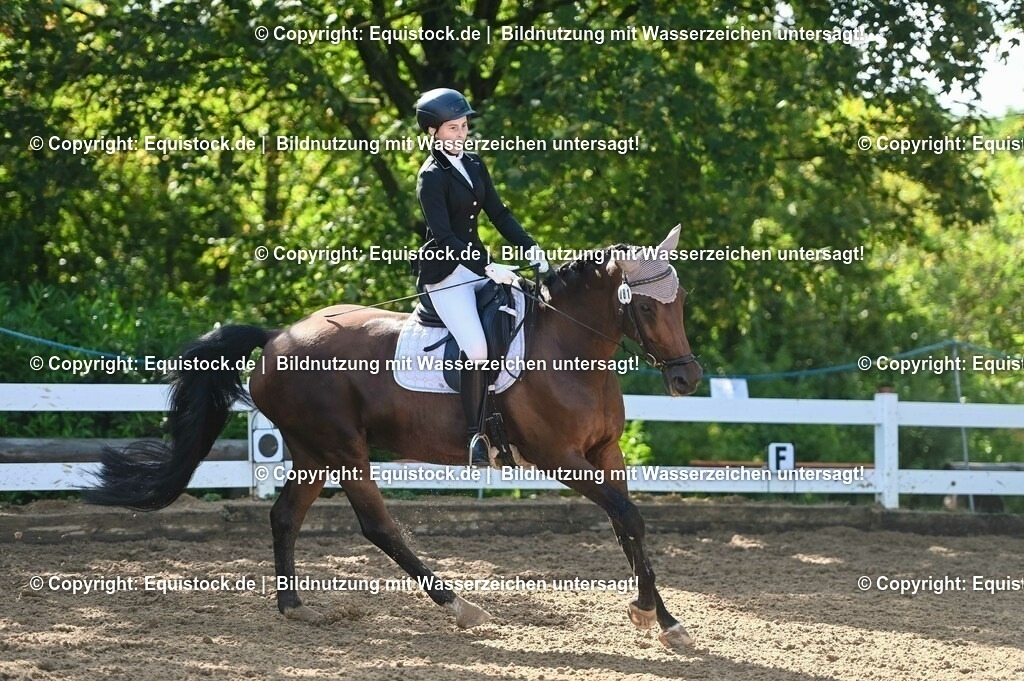 20230716_04_Dressurreiterprüfung Kl.A_0114 | equistock