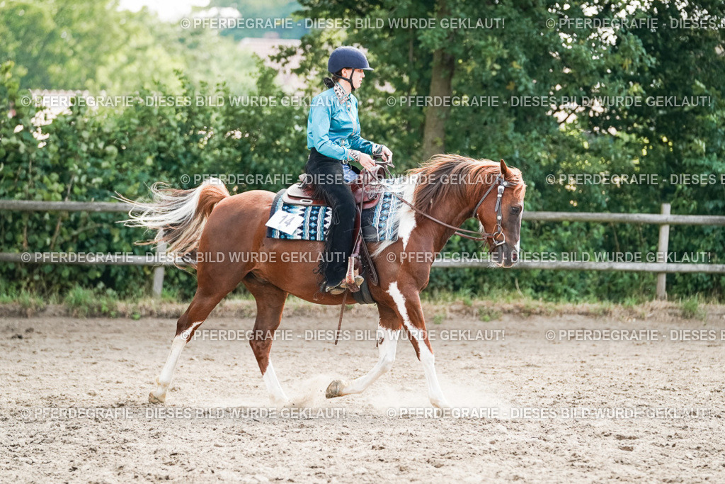 DSC04869 | Pferdegrafie