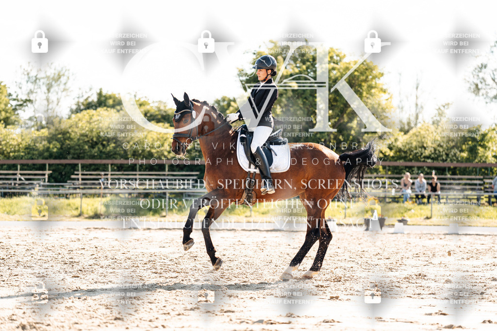 CK909867 | Turnierfotografie Pferdefotografie Trier Rheinland-Pfalz Pferdesport Reitsport Tierfotografie Sportfotografie Pferdevideo Pferdevideografie Equestrianvideography equestrianphotography  - Realisiert mit Pictrs.com