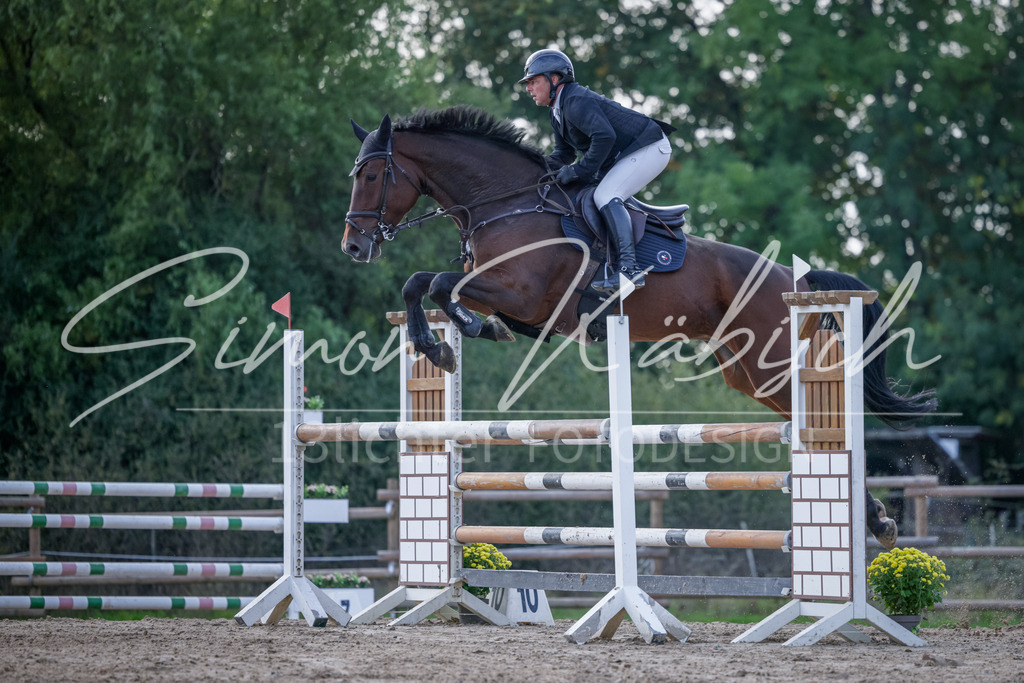 20251012-_3LI5695 | Tierfotografie Pferde, Hunde, Katzen, Haustiere.
Turnierfotografie Reitturniere, Reiten, Springreiten, Dressur in Hanau, dem Main-Kinzig-Kreis und dem Rhein-Main- Gebiet um Frankfurt