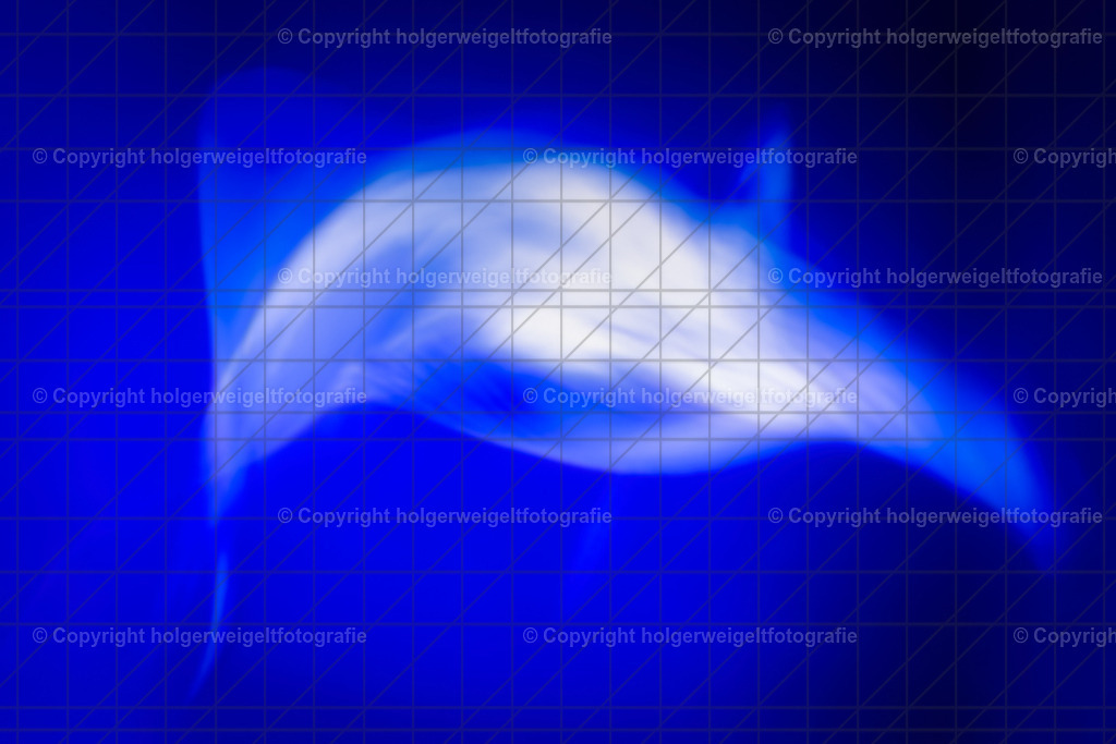 Blue Ocean I | Kaufen sie online außergewöhnliche Fotografien auf Leinwand Acrylglas Fotoprint Aludibond von holgerweigeltfotografie - Realisiert mit Pictrs.com