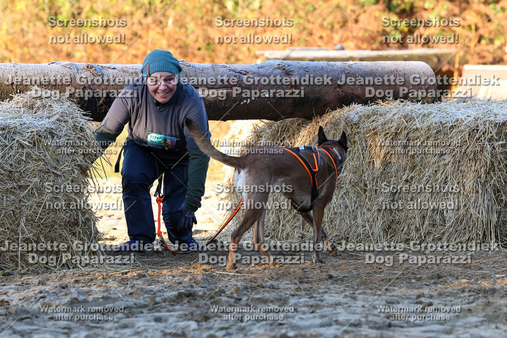 Dog Paparazzi - Strongdog 10-25-644 | Dog Paparazzi Jeanette Grottendiek Fotografie & Videografie - Realisiert mit Pictrs.com
