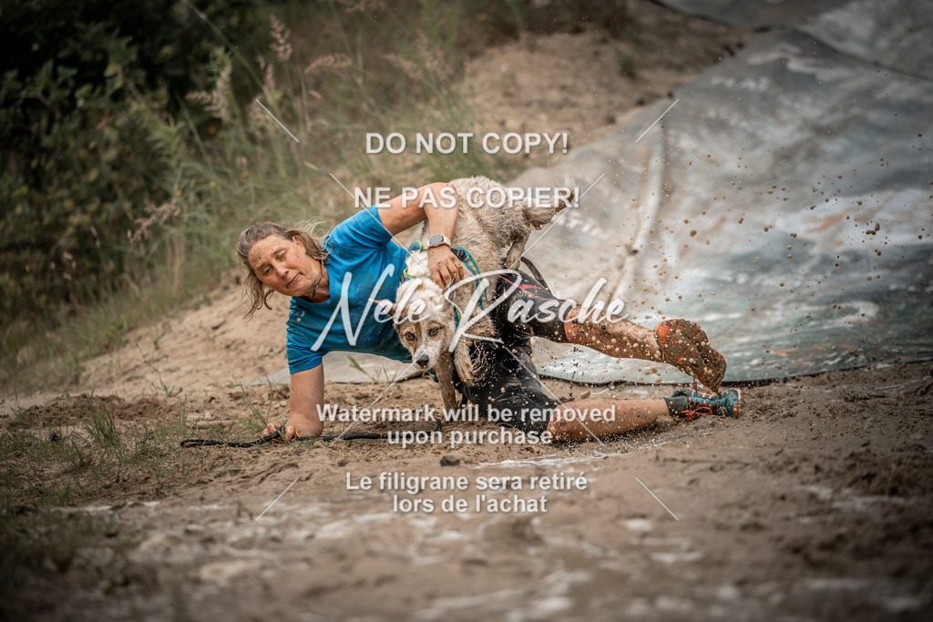 nelerasche_sa1000-1100_449 | nelerasche