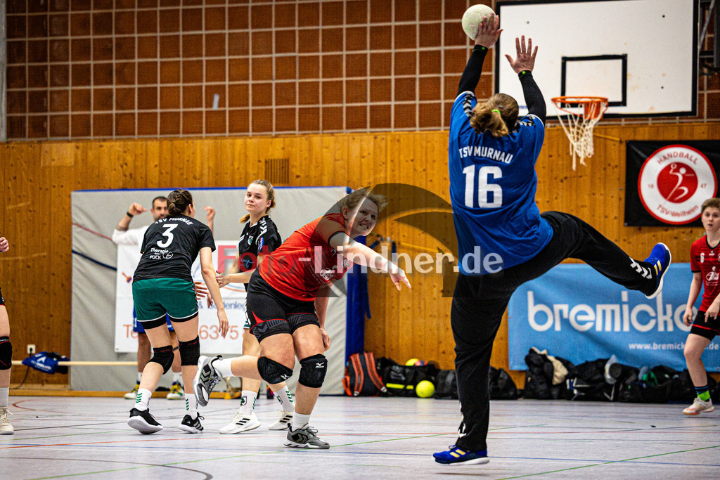 TSV Weilheim gegen TSV Murnau | Handball Bezirksoberliga Frauen Alpenvorland 2024/25, TSV Weilheim gegen TSV Murnau, 20250330,Torwurf Malena BECKER (TSV Weilheim 14),2025-03-30 in Weilheim (Weilheim, Am Hardt), Malena BECKER (TSV Weilheim 14)Copyright: WolfgangxLindner www.foto-lindner.de