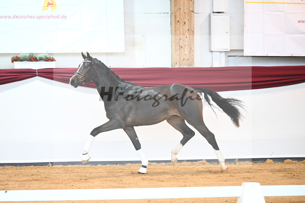 Kat-Nr. 31 v. Ferrantino_Lehner_66221841 | hf-fotografie - Realisiert mit Pictrs.com