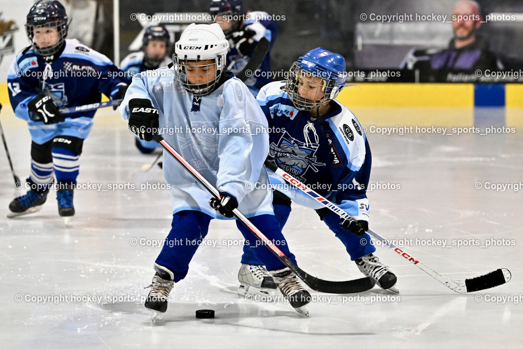 ESC SPARKASSE STEINDORF vs. EHC Althofen | Nachwuchs ESC Steindorf, ESC SPARKASSE STEINDORF vs. EHC Althofen, ESC SPARKASSE STEINDORF vs. EHC Althofen am 06.03.2026 in Steindorf (Ossiachersee Halle), Austria, (Photo by Bernd Stefan)
