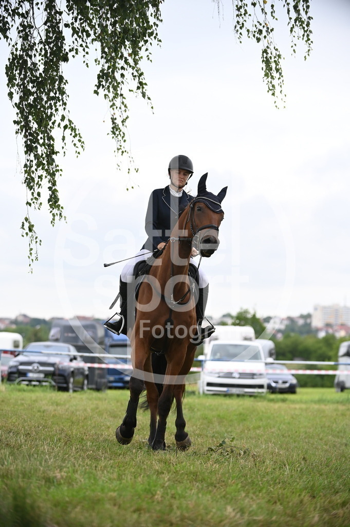 DSC_0268 | sattelsport - Realisiert mit Pictrs.com