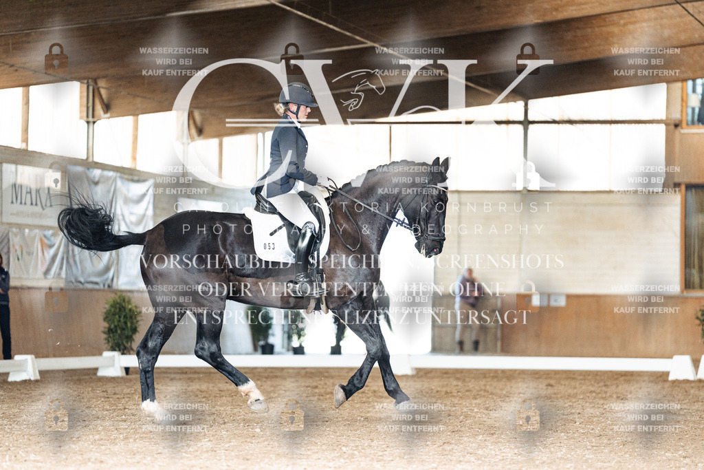 CK902225 | Turnierfotografie Pferdefotografie Trier Rheinland-Pfalz Pferdesport Reitsport Tierfotografie Sportfotografie Pferdevideo Pferdevideografie Equestrianvideography equestrianphotography  - Realisiert mit Pictrs.com