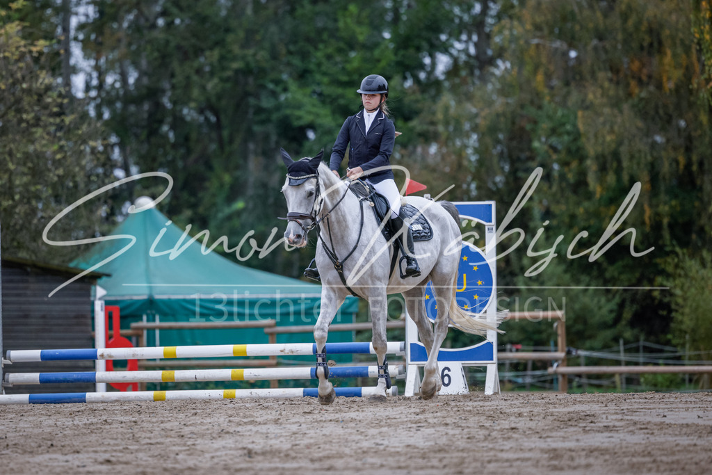 20251012-_3LI2620 | Tierfotografie Pferde, Hunde, Katzen, Haustiere.
Turnierfotografie Reitturniere, Reiten, Springreiten, Dressur in Hanau, dem Main-Kinzig-Kreis und dem Rhein-Main- Gebiet um Frankfurt