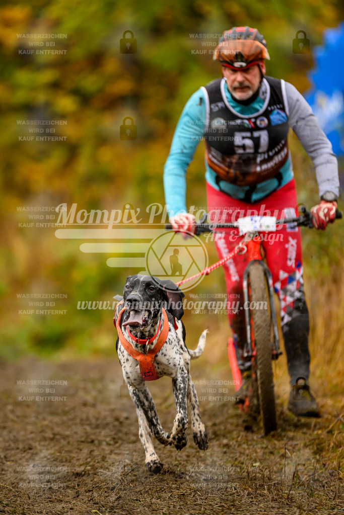 MompixPhotography_ICF_WC_2024_SA_DS_-138 | PayLife