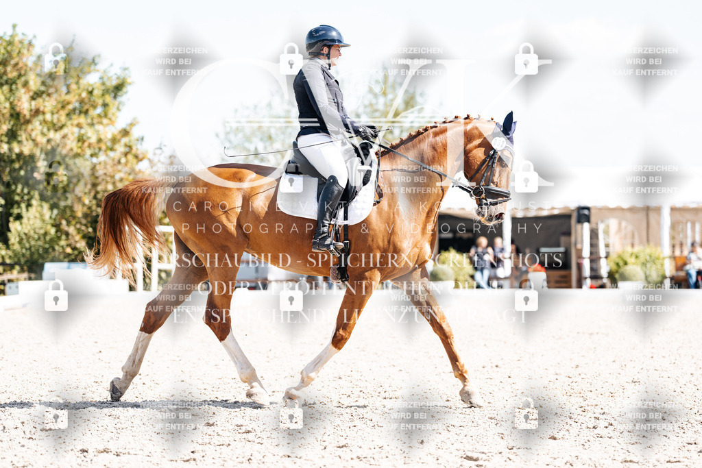 CK903178 | Turnierfotografie Pferdefotografie Trier Rheinland-Pfalz Pferdesport Reitsport Tierfotografie Sportfotografie Pferdevideo Pferdevideografie Equestrianvideography equestrianphotography  - Realisiert mit Pictrs.com
