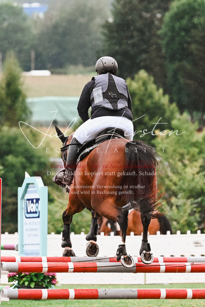 DSC_6579 | Pferde- und Turnierfotografie in Westsachsen. Pferdeportraits, Auftragszeichnungen und intuitive Kunst.