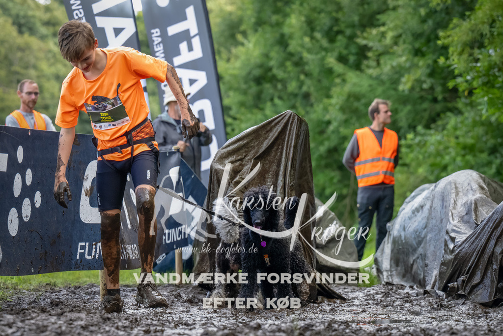 1154_ZZ90162-Bearbeitet | kk-dogfotos