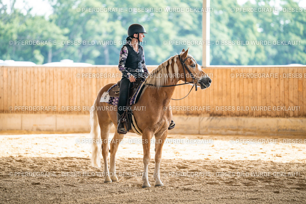 DSC08347 | Pferdegrafie