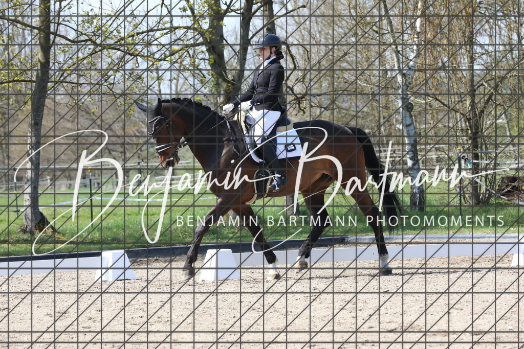 AZ2A5385 | Benjamin Bartmann Photomoments