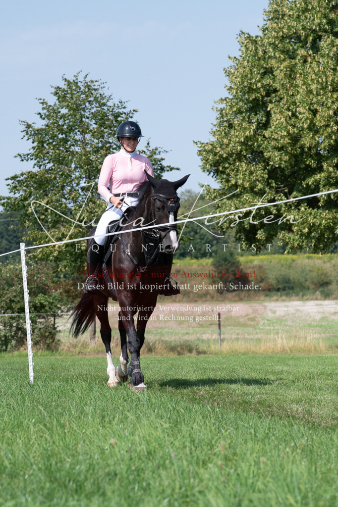 DSC_0866 | Pferde- und Turnierfotografie in Westsachsen. Pferdeportraits, Auftragszeichnungen und intuitive Kunst.