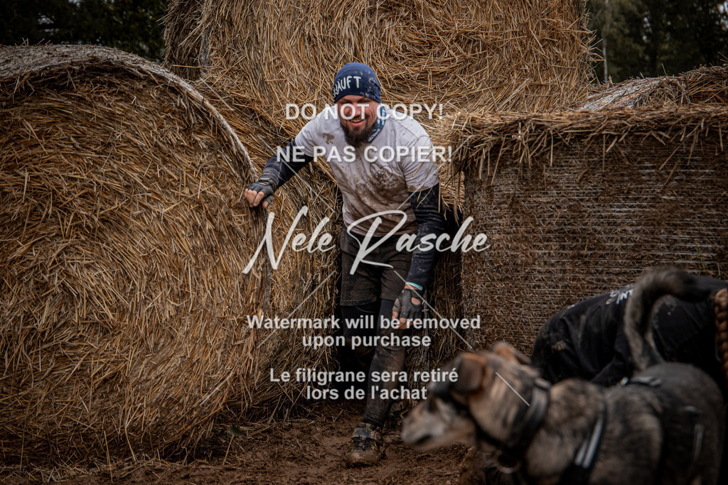 nelerasche_Hunsrück_So11-12_438 | nelerasche