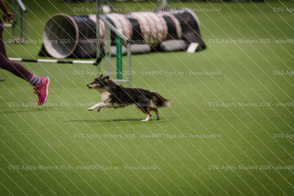 allesWIRTHgut_Tierfotografie-DVG_Agility_Masters_2026-08_14-7R507762 | Professionelle Tierfotografie in Mönchengladbach von Daniel Wirth (allesWIRTHgut). Liebevolle & natürliche Bilder von Hunden & Katzen für unvergessliche Erinnerungen.