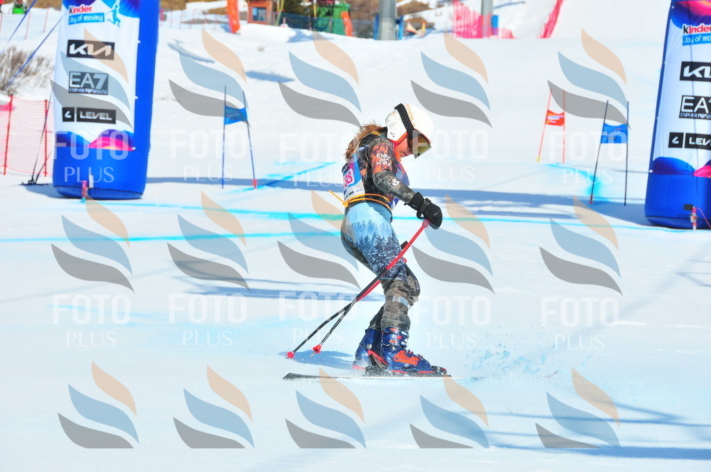 DSC_4951 | holidayphoto