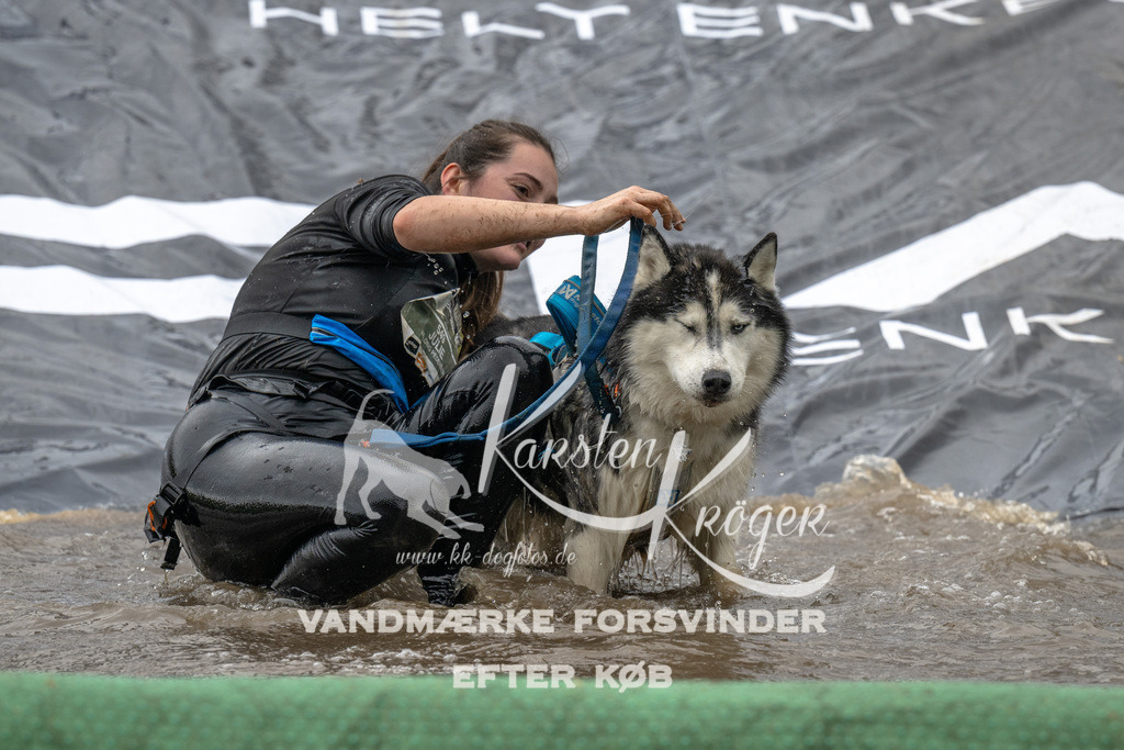 1558_ZZ91765 | kk-dogfotos