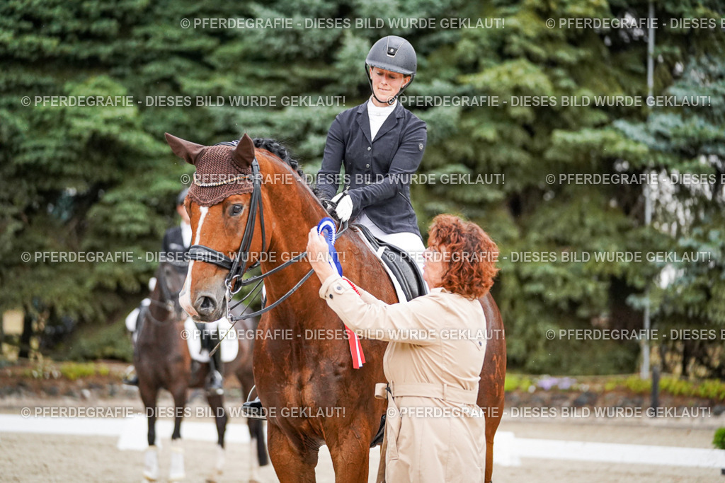 DSC09929 | Pferdegrafie