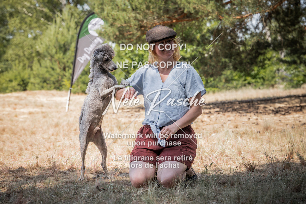nelerasche_soDD3_270 | nelerasche