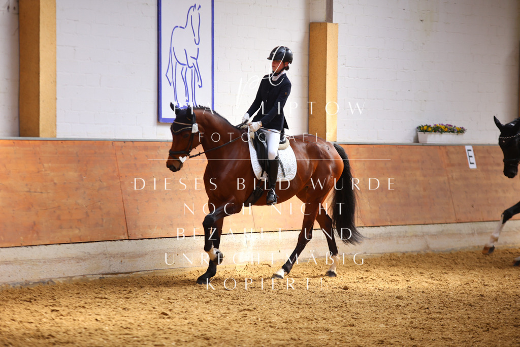 IMGT3557 | pl-fotografie