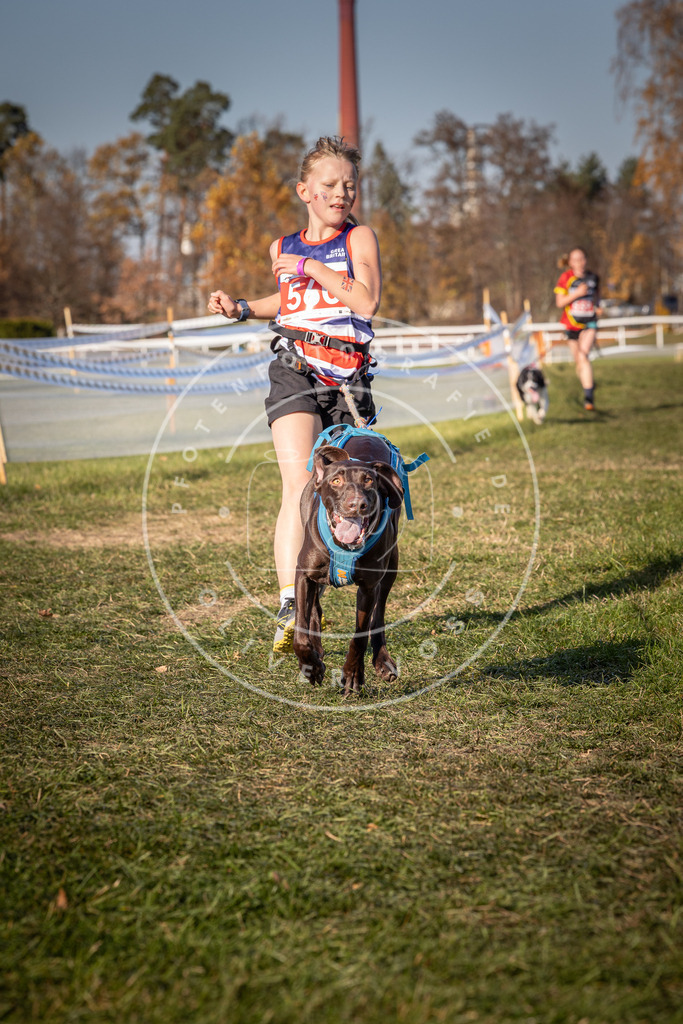 CaniXpix_0L8A7850 | Hundefotografie, Tierfotograf, Pfotenfotografie, Fotoshooting Hund, Hunde Portrait, Hundesport, Hundeportraits, Heideshooting, Hunde, Sportfotograf, Hundefotograf, Turnierhundsport, THS,  - Realisiert mit Pictrs.com