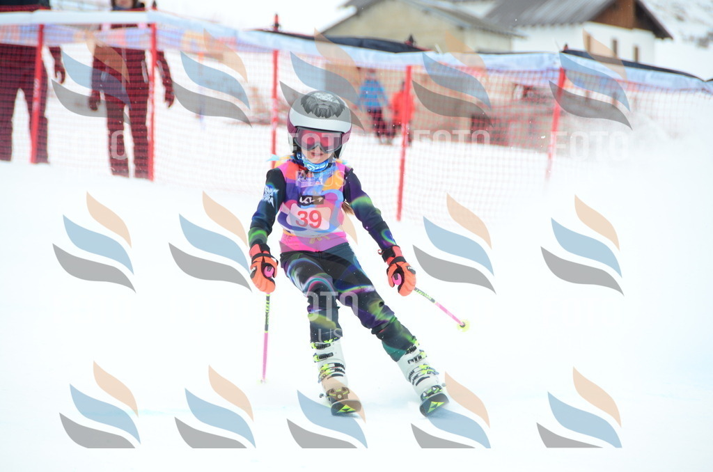 DSC_0894 | holidayphoto