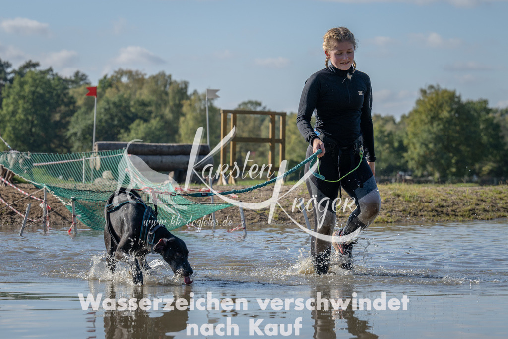 1331_ZZ90745 | kk-dogfotos