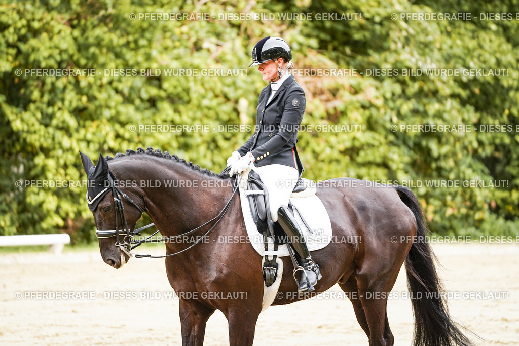 DSC02447 | Pferdegrafie