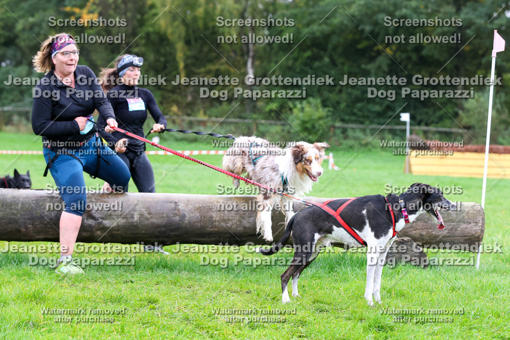 Dog Paparazzi -  SD1026-1088 | Dog Paparazzi Jeanette Grottendiek Fotografie & Videografie - Realisiert mit Pictrs.com