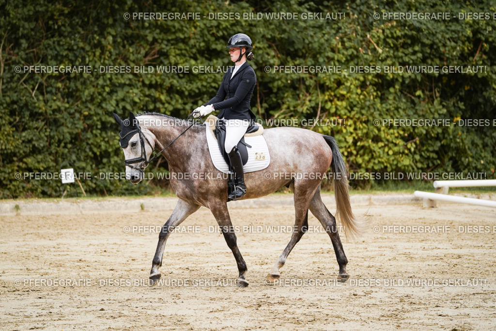 DSC00671 | Pferdegrafie