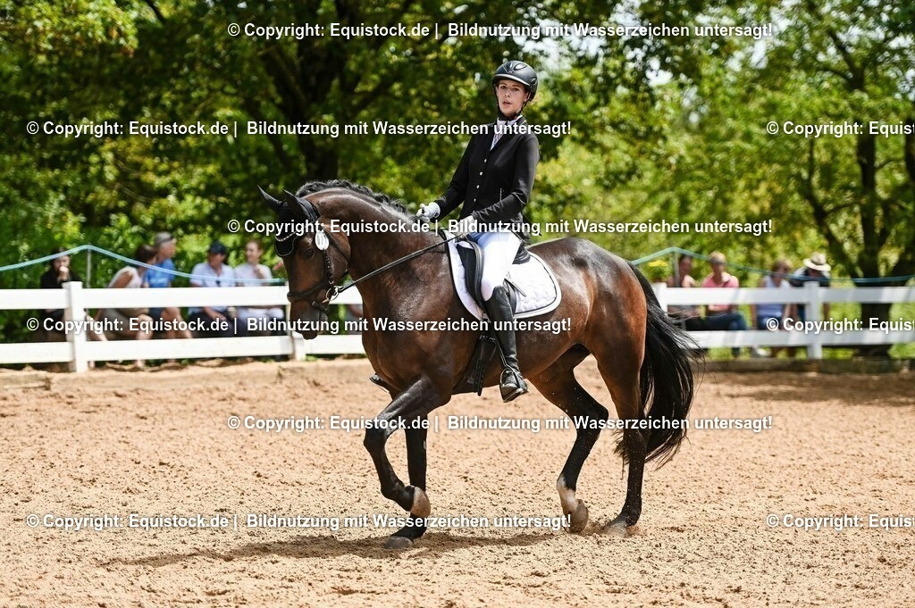 20230716_03_Dressurprfg. Kl.L - Tr._0560 | equistock